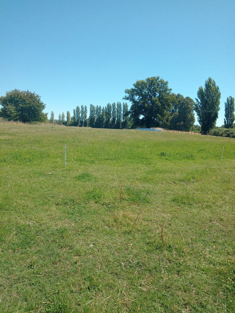 PARCELA EN LA CIUDAD DE LAGO RANCO