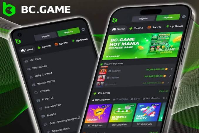 Experience Excitement with BC.Game Plinko Mobile App 967259661