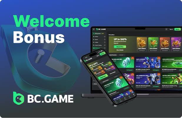 Exploring the BC.Game India App A Comprehensive Guide